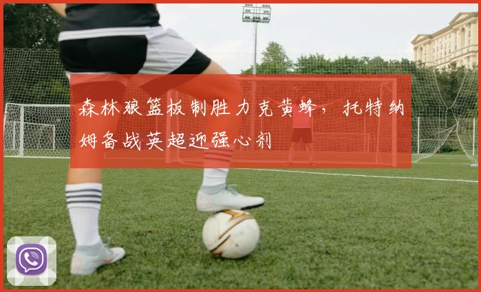森林狼篮板制胜力克黄蜂，托